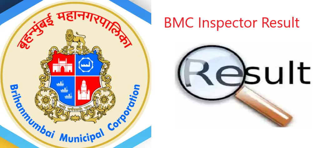 BMC Inspector Result